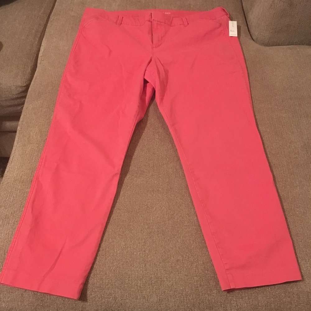 Pants pixie coral